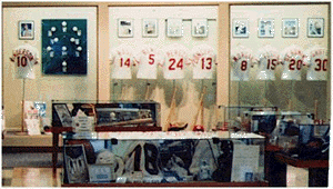 Sports Memorabilia and Collectibles